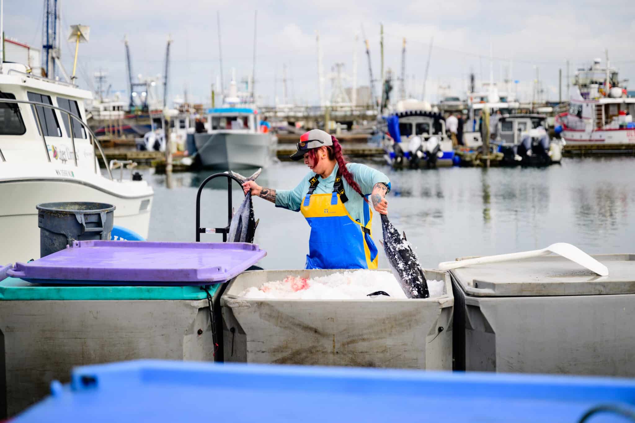 Working Waterfronts Seafood Connection, Westport Maritime Washington