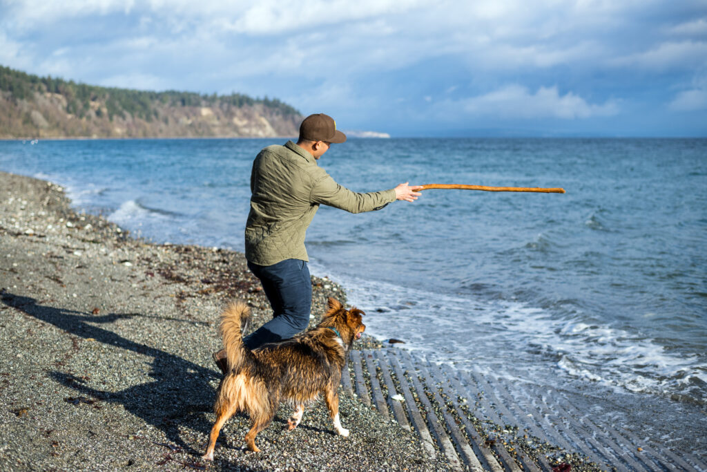 A man on a beach throws a stick into the water for a dog.