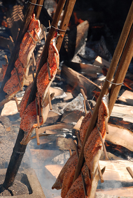 Several slabs of salmon are held between sticks of ironwood as they roast over a fire.
